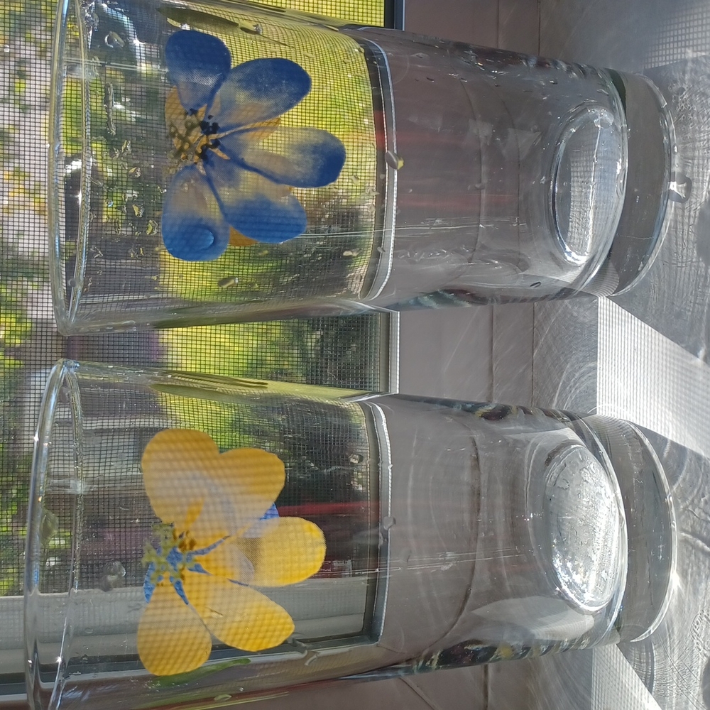 💚Italian Daisy Tumblers